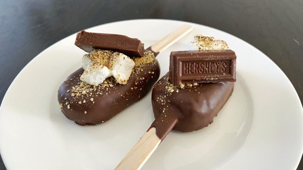 The Bubbly Tart S'mores Cakesicles