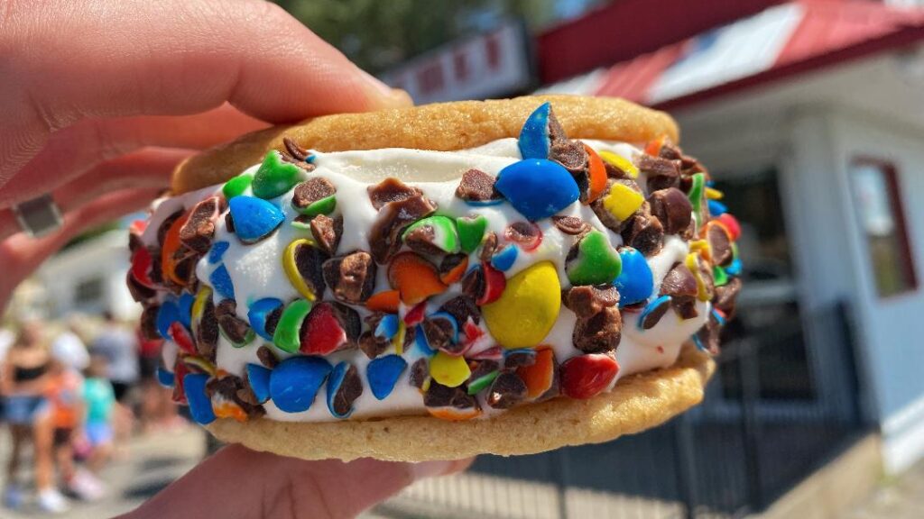 Dairy Chef Ice Cream Cookie Sandwich with M&Ms
