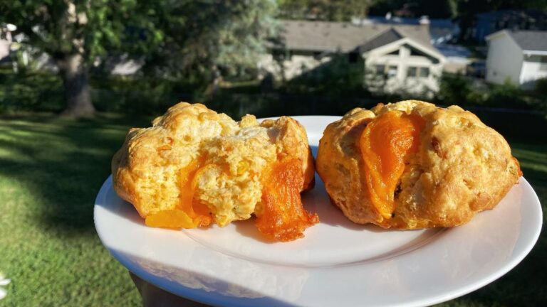 Sweet Magnolias Bake Shop Jalapeno Cheddar Corn Scones