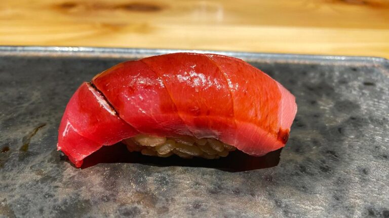 Ota Chutoro (medium fatty tuna)