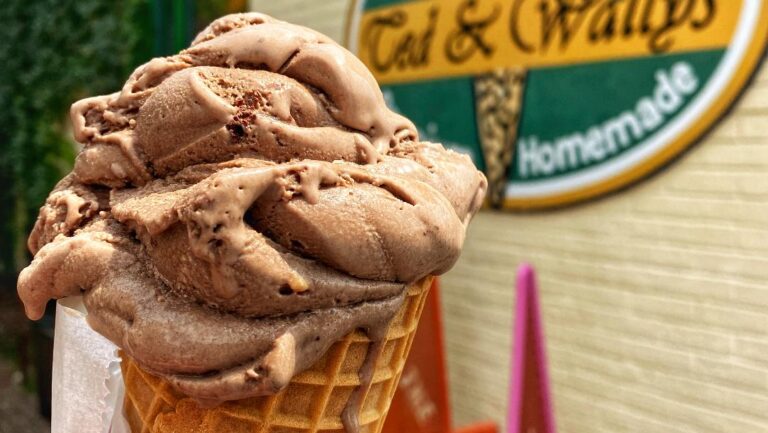Ted & Wally's Chocolate Ice Cream Cone