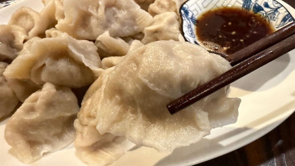 Blue & Fly Asian Kitchen Handmade Dumplings (up close)