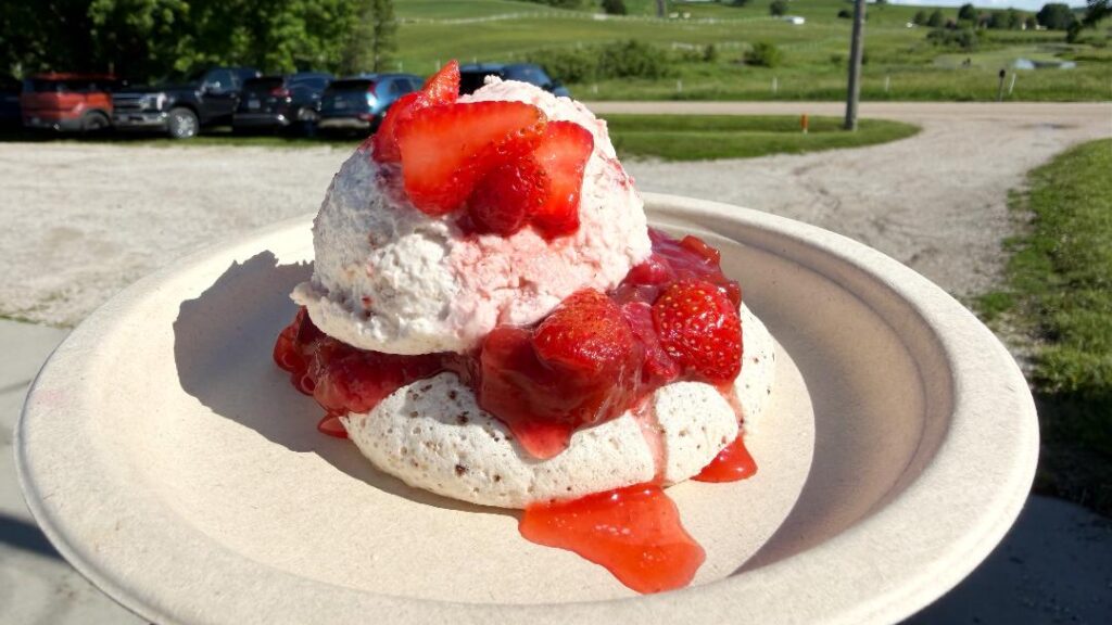 Battle of the Chefs Chocolate Chip Pavlova