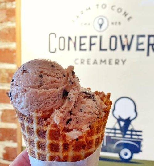 Coneflower Creamery Waffle Cone with Christmas in July Ice Cream
